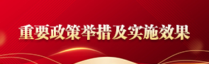 重要政策舉措及實(shí)施效果